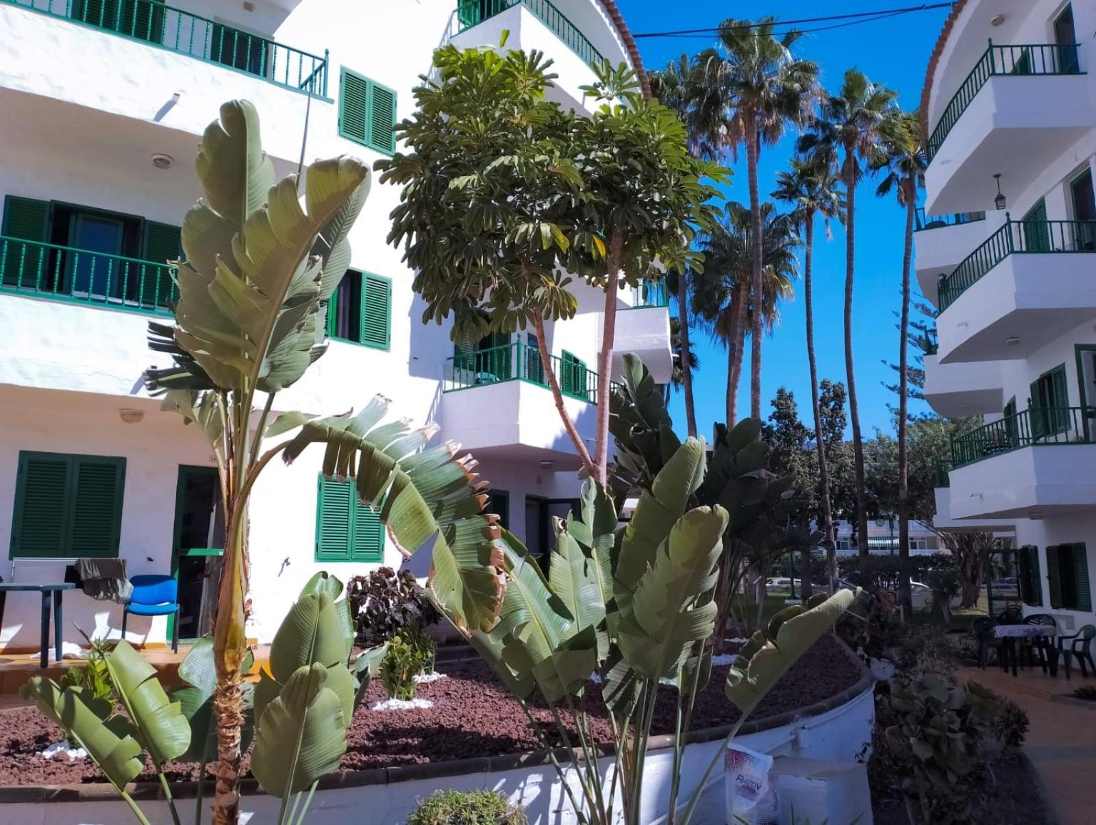 Canarian Havaii En Faluas Плайя-дель-Инглес Экстерьер фото